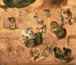 Study of cats (detail)